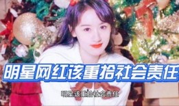 关于袁冰妍的爆料视频,娱乐圈背后的真相与争议